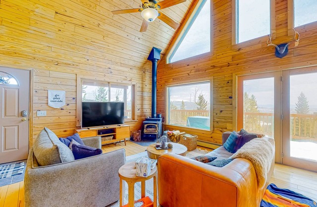 Spacious dog-friendly cabin with fireplace, mountain view, washer/dryer, & WiFi