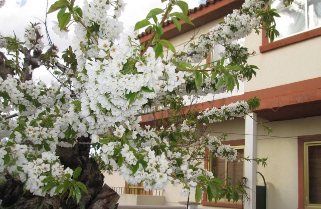 geräumiges Haus im Zentrum von Cuenca Hauptstadt mit kleinem Garten, bis zu 6 Erwachsene
