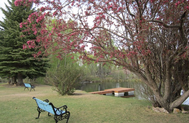Spacious House North of Gunnison, Close to the Bus Stop.