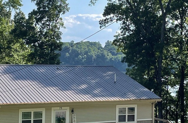 Spacious Lake Barkley Cottage/private/gorgeous lakefront view! Dock/jetski port