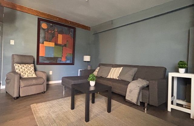 Spacious, Luxury & Cozy Apartment, Great Location, 1-bedroom with WiFi, AC