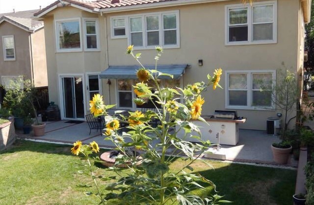 Geräumiges modernes Zuhause / Großer Garten / In der Nähe der Innenstadt, Levis, SAP, Avaya Stadien
