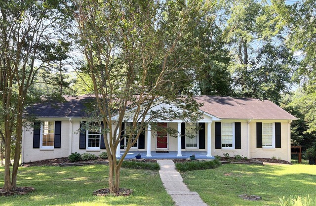 Spacious, newly updated, classic style close to UA campus. Sleeps 10
