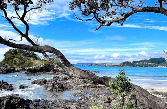 Spacious Oakura Bay Holiday Home