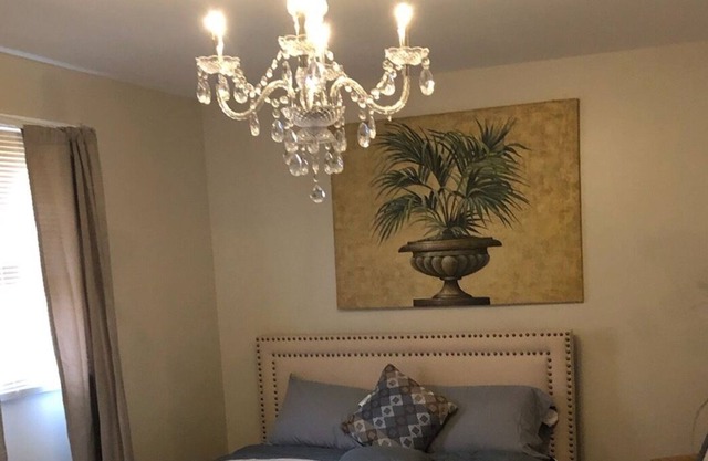 Spacious one Bedroom Apt with private entrance