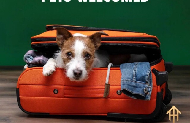 Spacious Pet Friendly | Sleeps 6