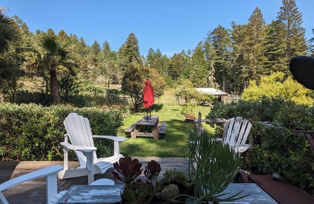 Spacious, Private 3+ bedroom farmhouse near Salt Point State Park: 31+day rental