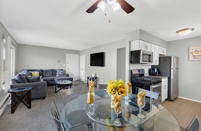 Spacious, Quiet & Cozy 1BD Apartment w/stainless steal appliances!