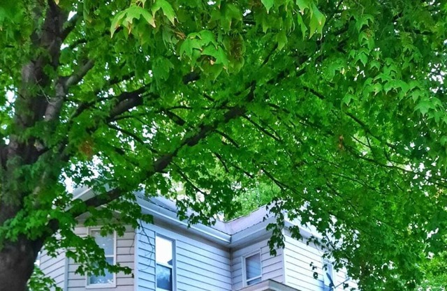 Spacious remodeled Victorian home, close to downtown Palmyra!