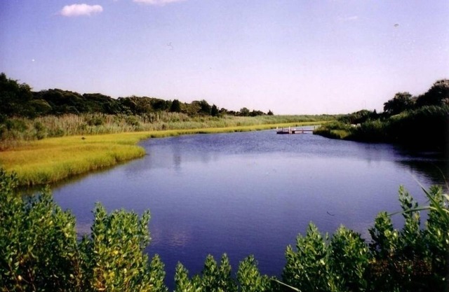 Geräumiger Hamptons Rückzug - Wasseransichten, Lache, Tennis, nahe Strand u. Stadt