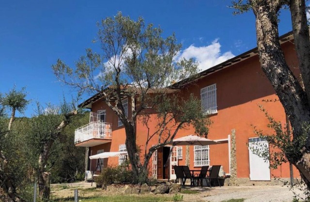 Spacious sea view apartment on the hill with private garden!