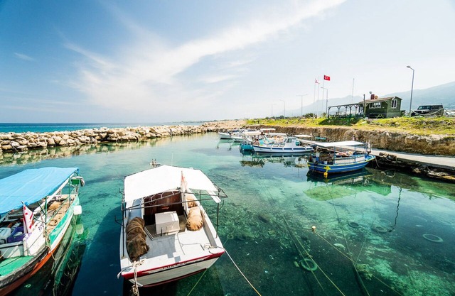 Geräumige Wohnung am Meer mit Pool