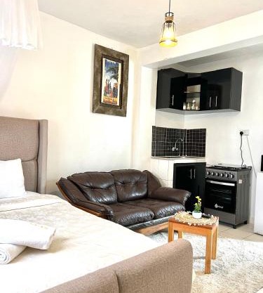 Spacious studio Apt Milimani