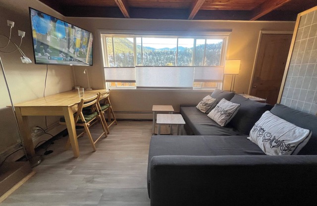 Spacious Studio - partitioned bedroom, dining area and extra sleeping areas