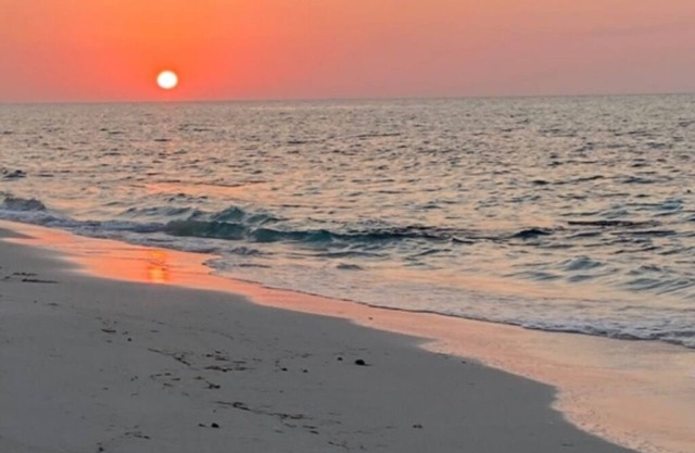 Spacious Tropical Getaway 🌴 - 3 mins away from the airport and beach