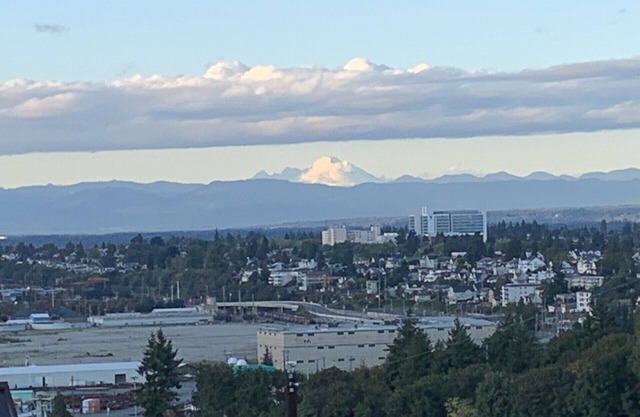 Spacious unit in historic neighborhood with mountain and downtown views