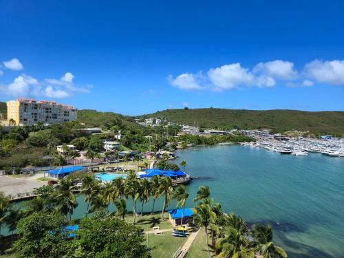 Spacious waterfront apartment, great views & more!