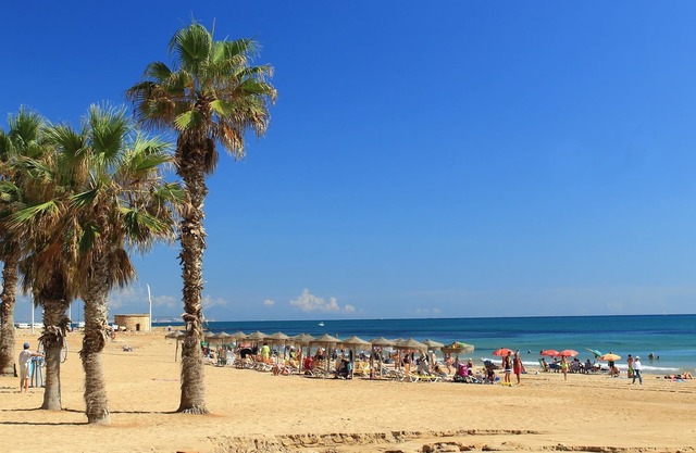 SPANIEN TORREVIEJA KLIMAANLAGE WOHNUNG MIT 3 SCHLAFZIMMERN, WOHNPOOL, 6 PERS
