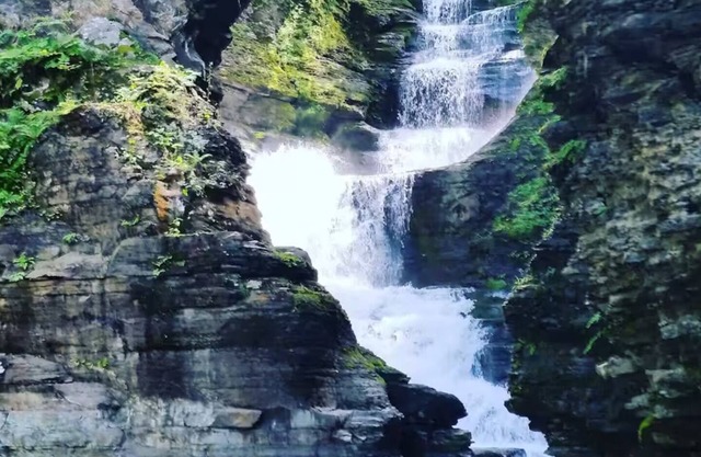 Sparrow Farm Cottage & Majestic Waterfall