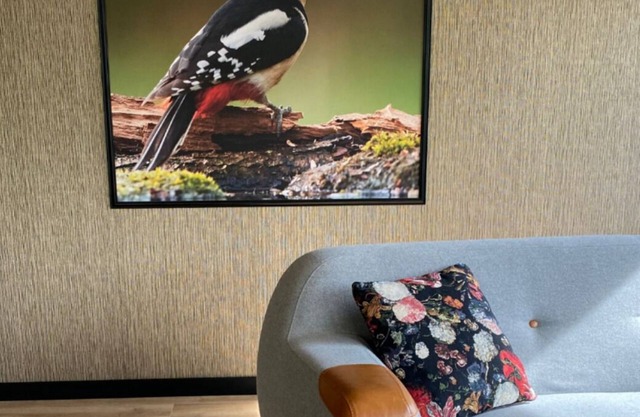 Specht-huisje - dog-friendly vacation home in Hoge Kempen near Maastricht