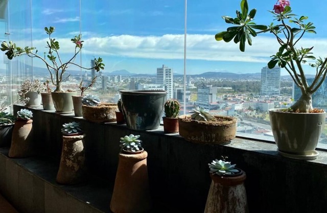 Spectacular views, beautiful space!