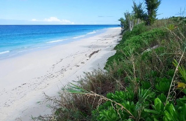 Spectacular Direct Beachfront Condo awaits your arrival!