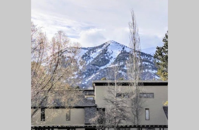 Spectacular Mountain Condo