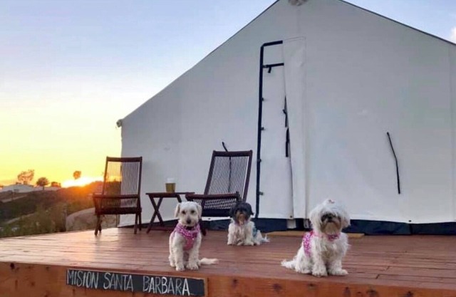 Glamping Mision Santa Barbara