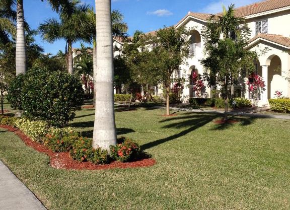 Speedway Blvd Townhouse