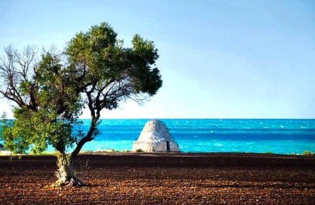 Verbringen Sie Ihren Urlaub in Apulien - MONOPOLI - South Coast