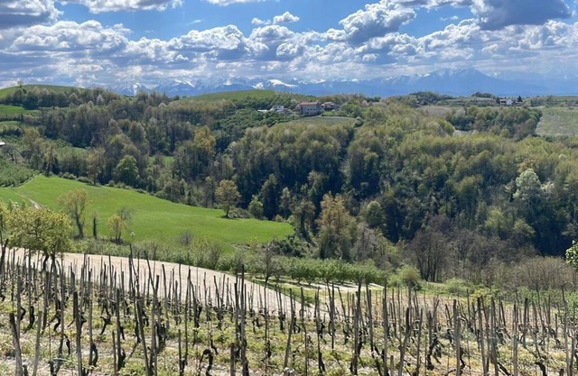 Spicchio di Langa - casa indipendente tra le vigne e le Alpi