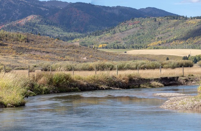 Spotted Moon Ranch - River Front - Tiny Home
