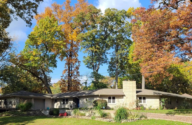 Sprawling mid-century, unique, SPACIOUS & dog friendly home!!