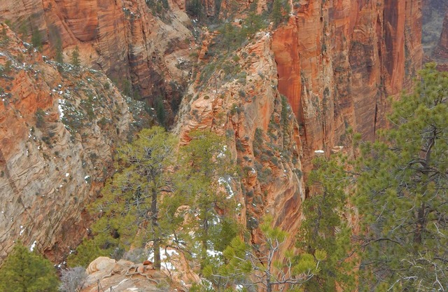 Springdale Townhome im Zion National Park - 2 Schlafzimmer, 2. 5 Bäder