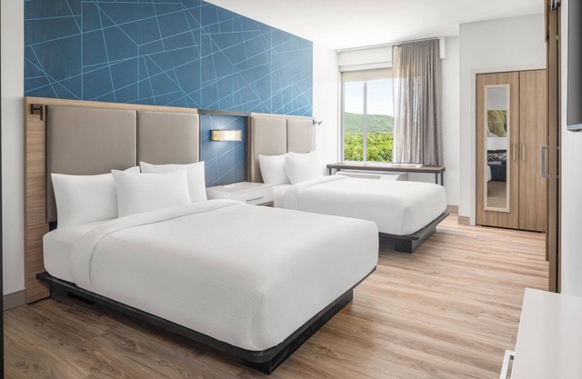 Springhill Suites By Marriott Roanoke North