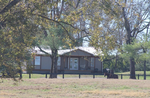 Springwood Cottage im Herzen des Bluegrass