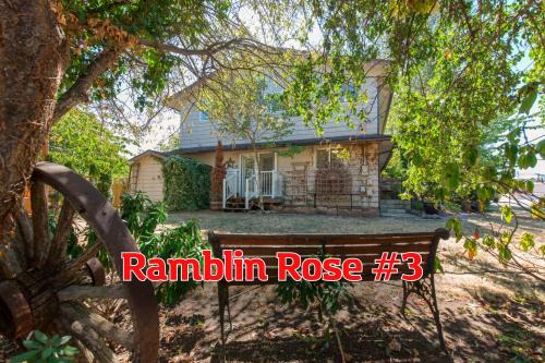 SQ Ramblin Rose 3
