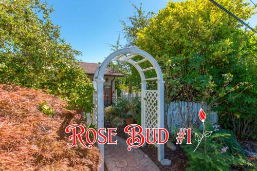 SQ Rose Bud 1