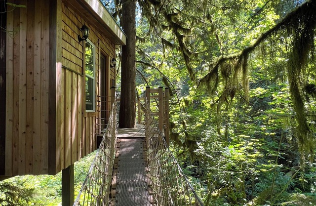 Squamish Tree House
