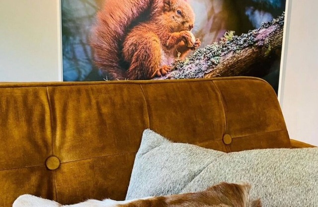 Squirrel Cottage – cosy holiday home in Hoge Kempen near Maastricht