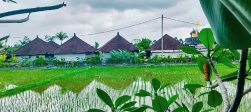 Srijaya Ubud by SHM