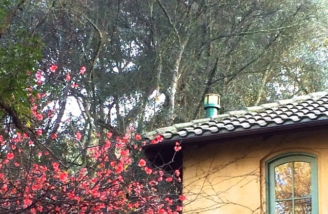 ST. HELENA ROMANTIC toskanischen Villa