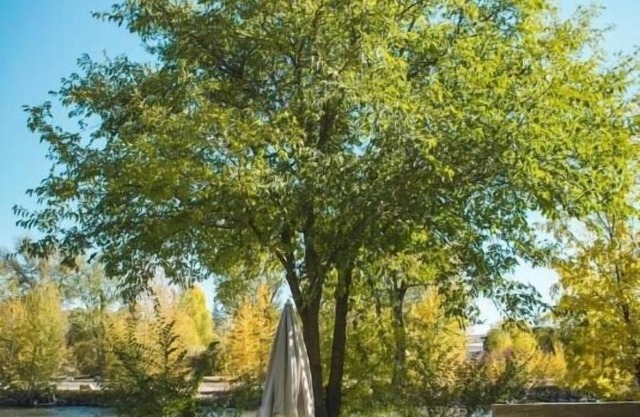 Stagecoach Inn