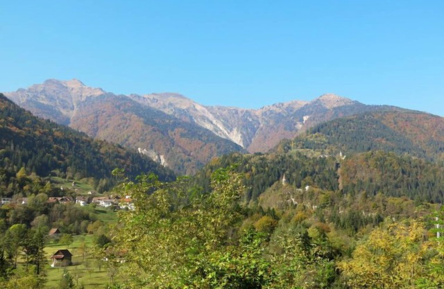Ferienhaus Stali di Relio in Ovaro - 4 Personen, 1 Schlafzimmer