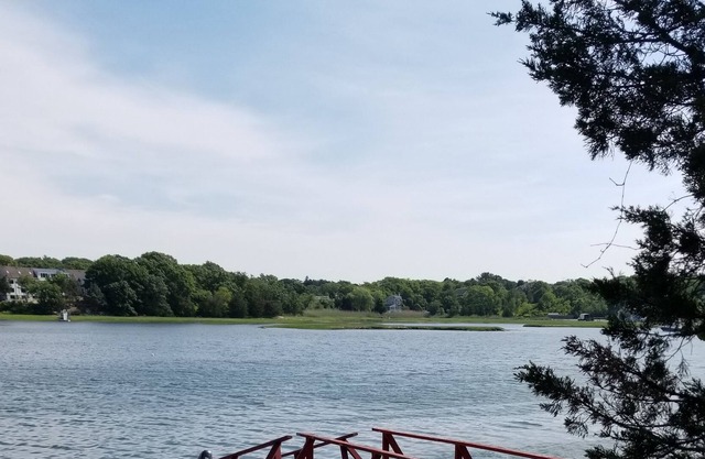 Stanwood Point: Waterfront cottage with large screened porch, yard and dock