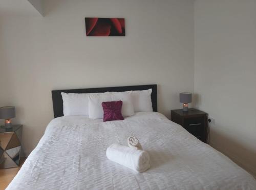 Star Apartment