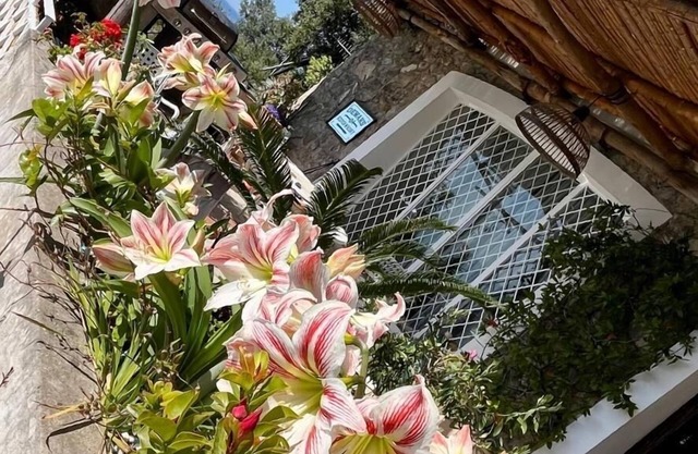 Star Fish House - Ihr Haus in der Amalfiküste