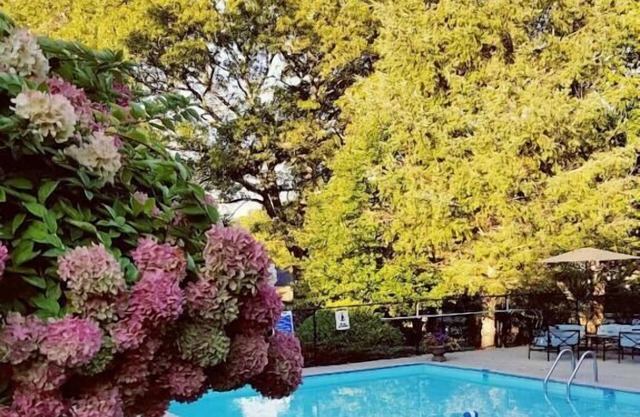 Starlight Lodge Cape Cod