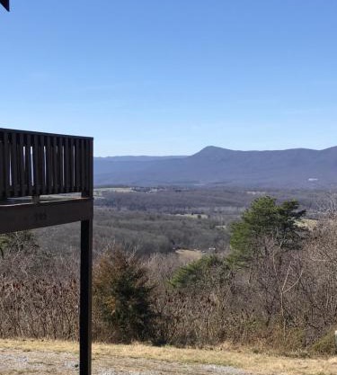 Starlit view log cabin