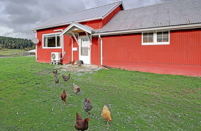 Stay at the Ranch! Bunkhouse is in the heart of Camano Island.